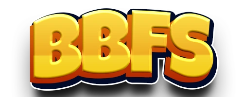 BBFS Nir Project