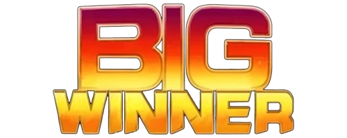 Bigwinner Nir Project