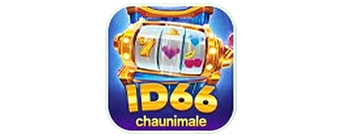 Id66 Nir Project