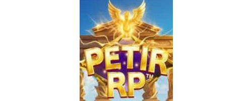 Petirrp Nir Project