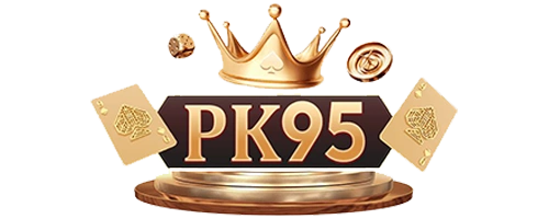 Pk95 Nir Project