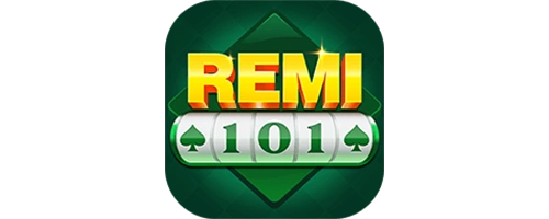 Remi101 Nir Project